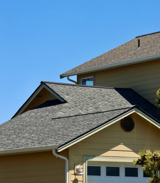 Best Roof Moss and Algae Removal  in Dallastown, PA